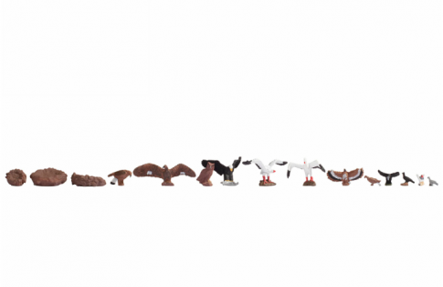 Noch 15775 Birds (12) And Nests (3) Figure Set