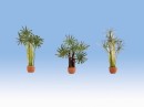Noch 14024 Palms (3) Ornamental Plants