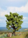 Noch 21760 Oak Profi Tree 16cm