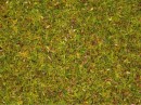 Noch 08330 Flower Meadow Scatter Grass 2.5mm (20g)