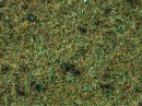 Noch 08350 Forest Floor Scater Grass 2.5mm 20g