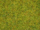 Noch 50190 Summer Meadow Scatter Grass 2.5mm (100g)