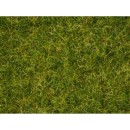 Noch 07072 Summer Meadow Grass Blend (50g)