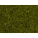Noch 07090 Meadow Wild Grass 6mm (100g)