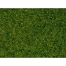 Noch 07102 Light Green Wild Grass 6mm (50g)