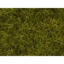 Noch 07110 Meadow Wild Grass XL 12mm (40g)