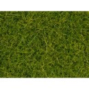 Noch 07112 Light Green Wild Grass XL 12mm (40g)