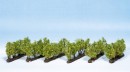Noch 21540 Vines (24) Profi Trees (24) 2.2cm
