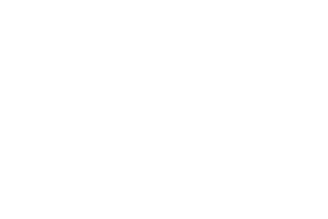 Busch