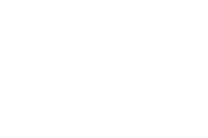 Fleischmann