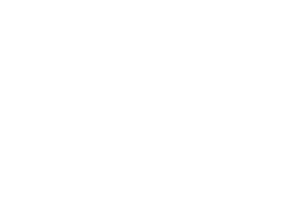 Gaugemaster