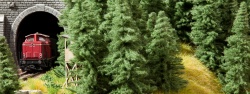 Trees & Bushes
