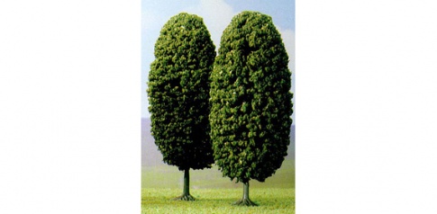 2 X 145mm Laburnam Trees