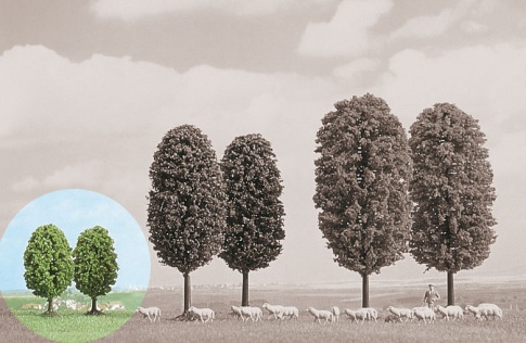 2 X N/z 55mm Birch Trees