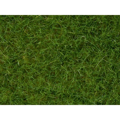 Noch 07092 Light Green Wild Grass 6mm (100g)