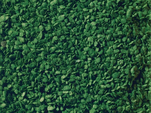 Nock 07154 Mid Green Leaves (100g)