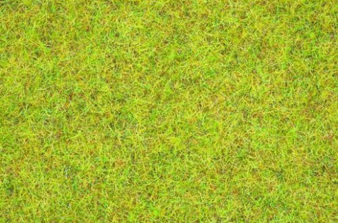 Nock 08151 Summer Meadow Scatter Grass 2.5mm (120g)