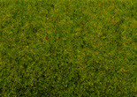 Noch 08300 Spring Meadow Scatter Grass 2.5mm (20g)