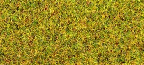 Nock 08310 Summer Meadow Scatter Grass 2.5mm (20g)