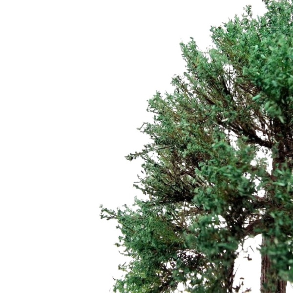 Primo Models - Chestnut Tree Model 8-12 cm - dcctrainautomation.co.uk