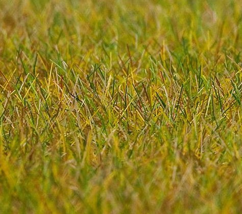 Faller 180484 Grass, light green