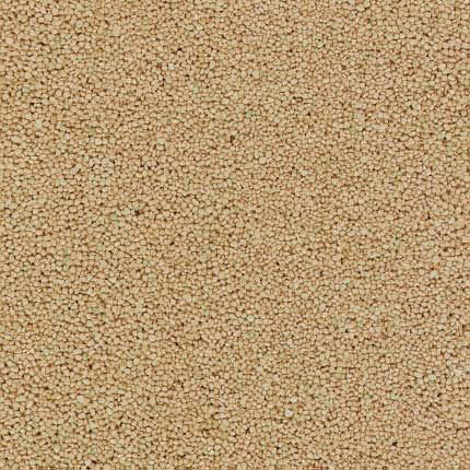 Fine Gravel Beige