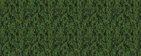 Noch 7300 Leafy Foliage Medio – Cespuglio In Scala H0/TT/N/Z Per Diorami E Plastico – Colore Verde 20x23 Cm