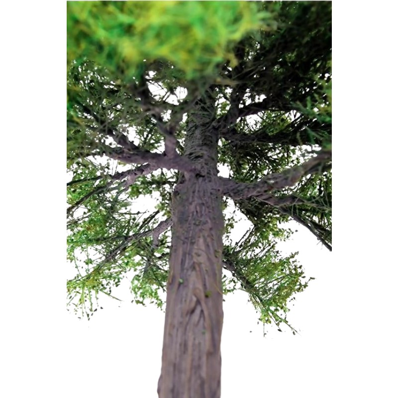 Primo Models - Maple Tree Model 8-12 cm[1] - dcctrainautomation.co.uk