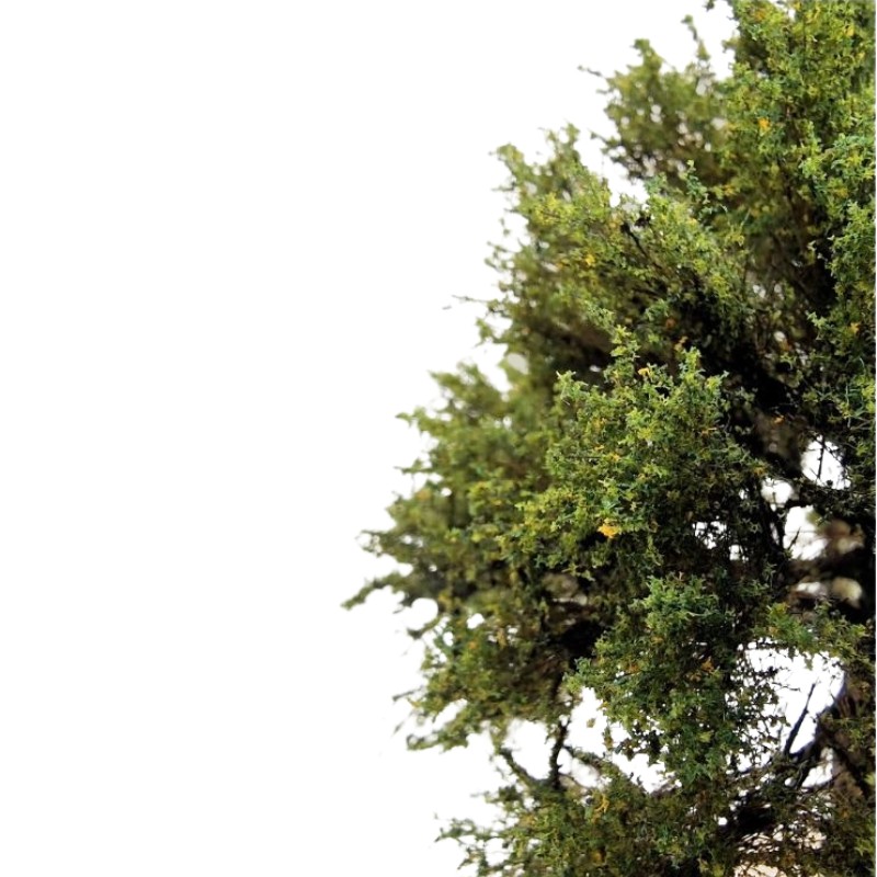 Primo Models - Oak Tree Model 8-12 cm - dcctrainautomation.co.uk