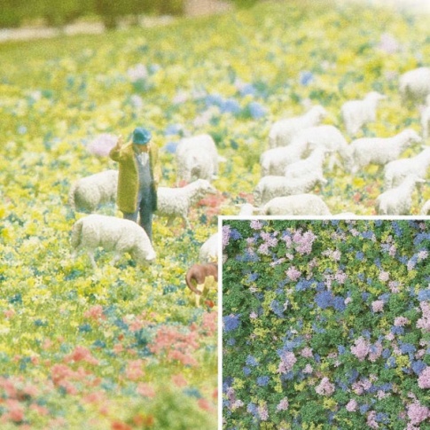 Micro Flock Crocus