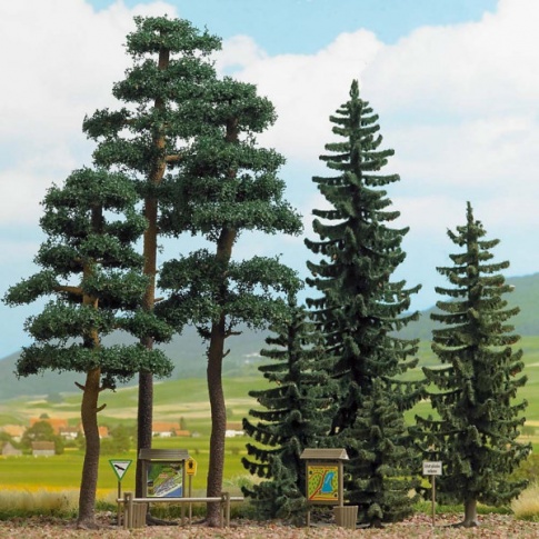 Spruce & Pine Forest