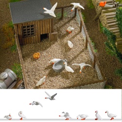 Buxch 1195 Geese.