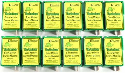 Tortoise 12 Pack